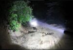 Baseball Bat Flashlight - Image 25